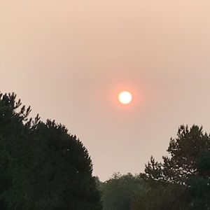 Meet your Posher, Jose